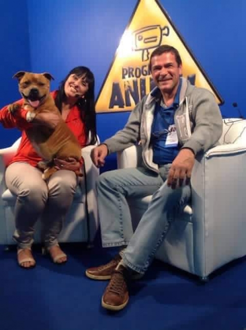 Pet South - KCSP
